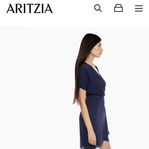 Aritzia babaton Wallace dress